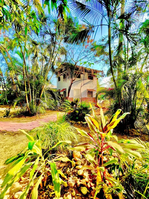 Comfort Cabin | Terrace/patio