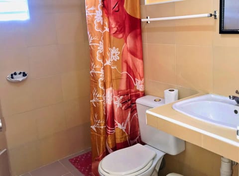Basic Room | Bathroom | Shower, towels