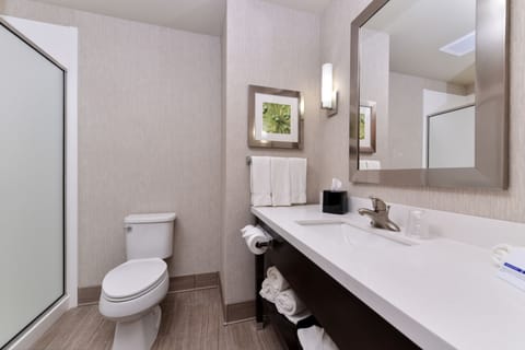 Suite, 1 King Bed with Sofa bed (Wet Bar) | Bathroom | Combined shower/tub, free toiletries, hair dryer, towels