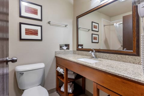 Room, 1 King Bed, Non Smoking | Bathroom | Combined shower/tub, hydromassage showerhead, eco-friendly toiletries