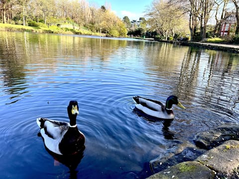 Ashton Park a five minute walk from Dee 8