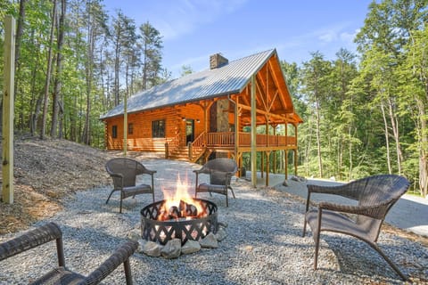 Beautiful log cabin isolated amongst tall pine trees
