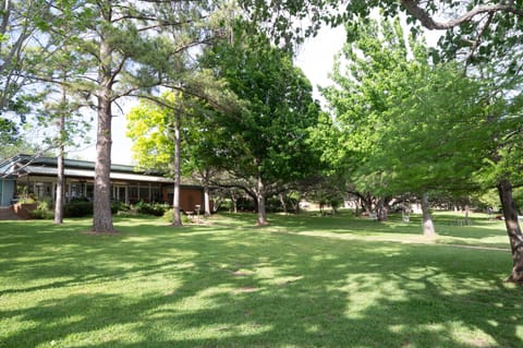 Large backyard for cornhole tournaments and room for the kids and dogs to play!