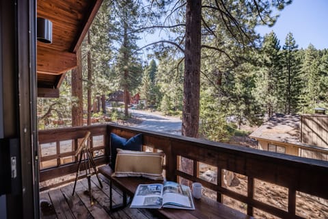 Discover your dream.