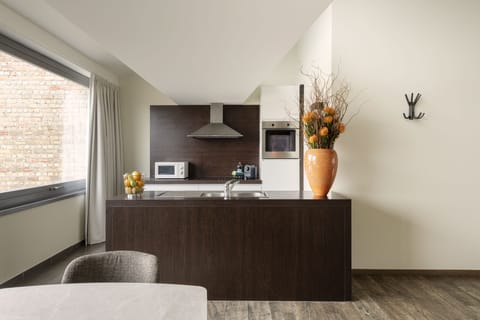 Deluxe Apartment, 1 Bedroom, Terrace, Mezzanine | Private kitchen