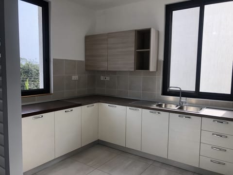 Executive Apartment | Private kitchen | Full-size fridge, microwave