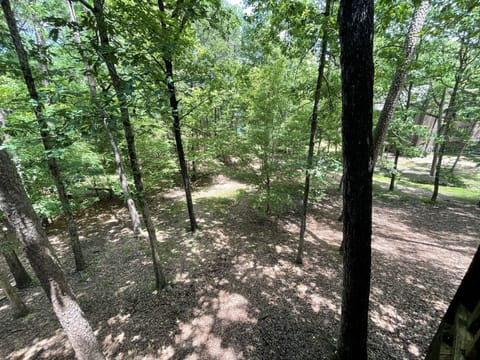 Grove, Land, Nature, Outdoors, Tree