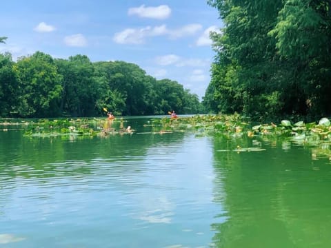 Kayak-ers pictured up river standing at the dam. 