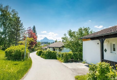Immediate Surroundings [summer] (<1 km)