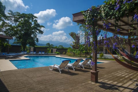 Outdoor pool, sun loungers