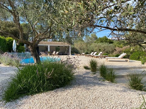 Newly renovated pool area and fully equipped summer kitchen 
