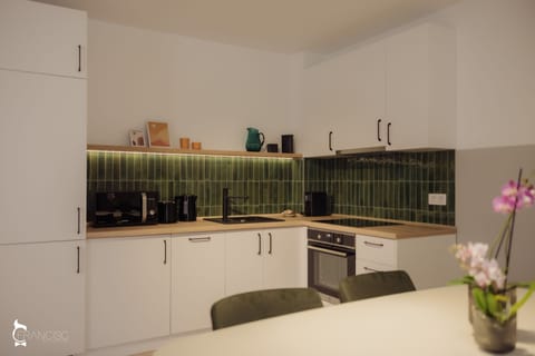 Premium Apartment | Private kitchen | Mini-fridge, microwave, oven, stovetop