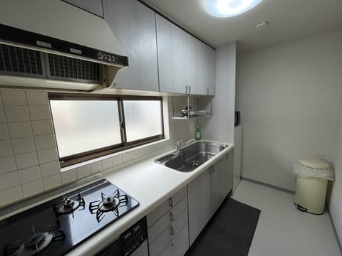 Deluxe Apartment | Private kitchen | Fridge, microwave, stovetop, electric kettle