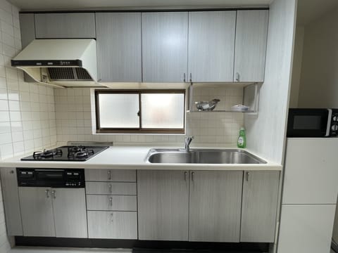 Deluxe Apartment | Private kitchen | Fridge, microwave, stovetop, electric kettle