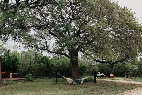 A wide shot of much of our common area, the tire swing and walking trail head is on the front side of our common area.