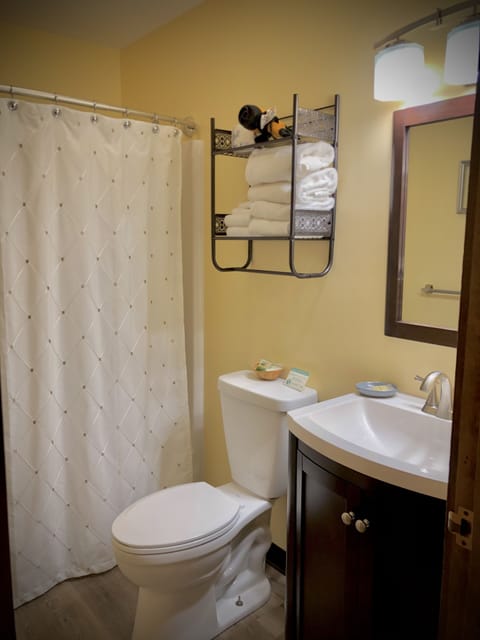 Deluxe Room | Bathroom | Combined shower/tub, free toiletries, hair dryer, towels