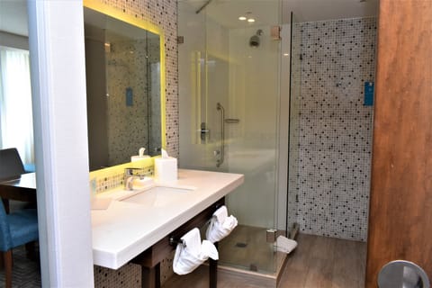 Suite, 1 King Bed, Non Smoking | Bathroom | Shower, free toiletries, hair dryer, towels