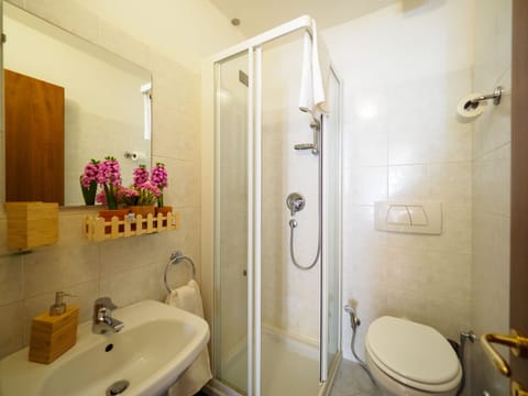 Basic Room | Bathroom | Shower, hair dryer, towels, soap