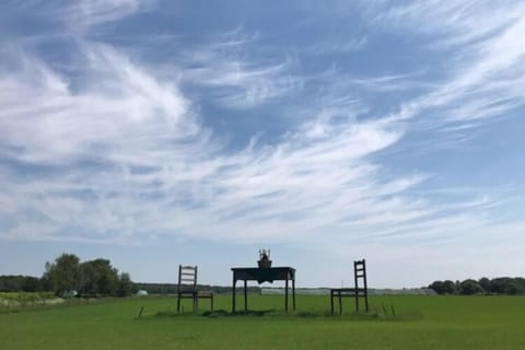 Region [summer] (&gt;5 km)