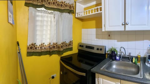 City Apartment, 2 Bedrooms, Mountain View | Private kitchen | Full-size fridge, electric kettle, cookware/dishes/utensils