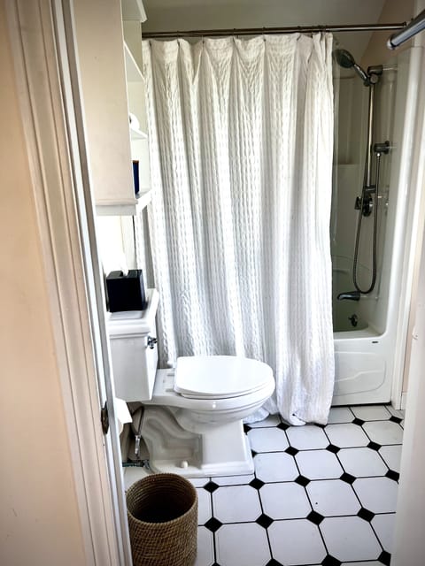 Penthouse Suite | Bathroom | Shower, designer toiletries, hair dryer, towels