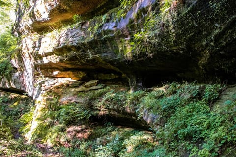 You have a trailhead just outside your door to private 1.75 mile trail... the trail system connects a seasonal waterfall, cave, cliff/rockwall on one side of our property to the seasonal waterfalls, caves, cliff/rockwall, canyon on the other side