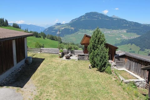 view over the garden