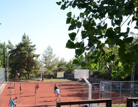 Basketball court