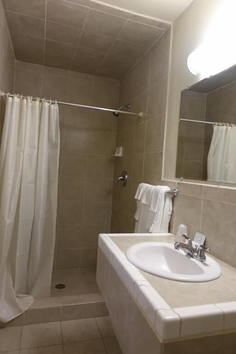 Standard Double Room | Bathroom | Shower, towels, soap, toilet paper