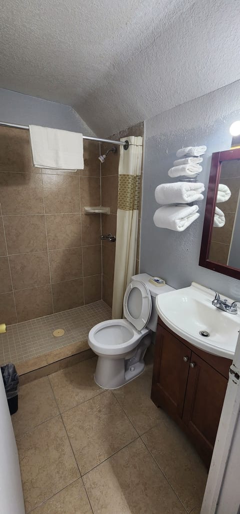 Basic Double Room | Bathroom | Towels, soap, shampoo, toilet paper