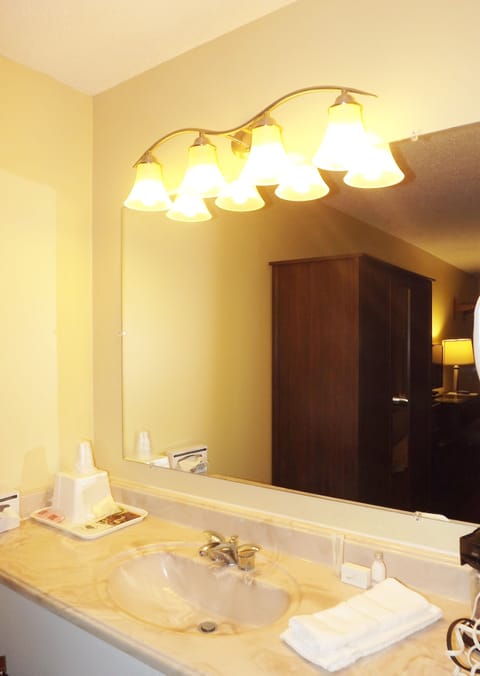 Deluxe Single Room, 1 King Bed, Accessible | Bathroom | Combined shower/tub, hair dryer, towels