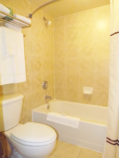 Combined shower/tub, hair dryer, towels