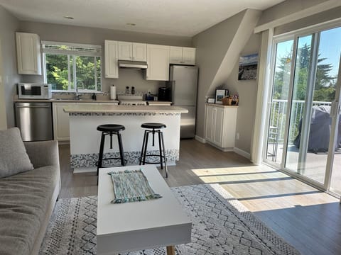 Living room and kitchen