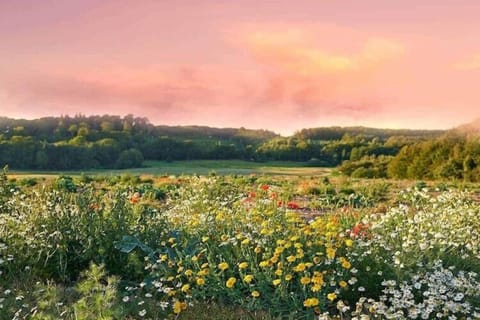 Immediate Surroundings [summer] (<1 km)