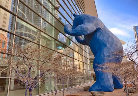 The Blue Bear in Denver