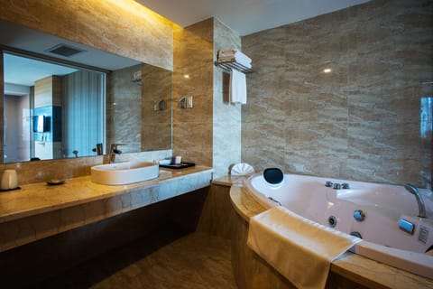 Combined shower/tub, free toiletries, hair dryer, bathrobes
