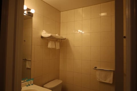 Deluxe Double Room | Bathroom | Combined shower/tub, free toiletries, hair dryer, towels