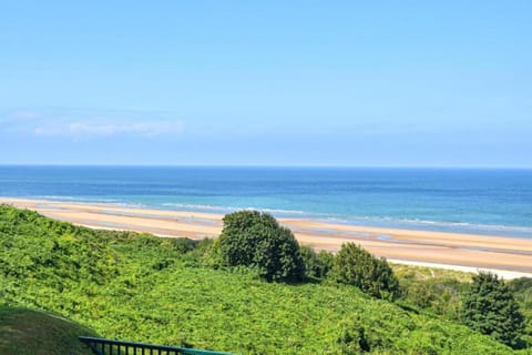 Region [summer] (&gt;5 km)