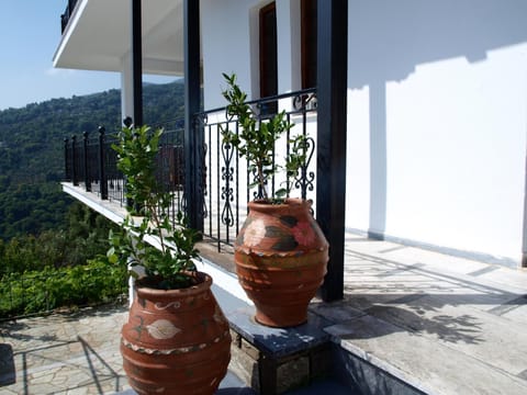 Studio, Smoking | 1 bedroom