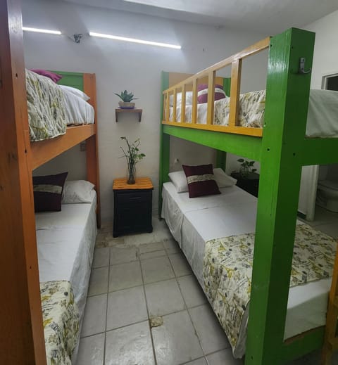 Basic Shared Dormitory | Individually decorated, iron/ironing board, free WiFi, bed sheets