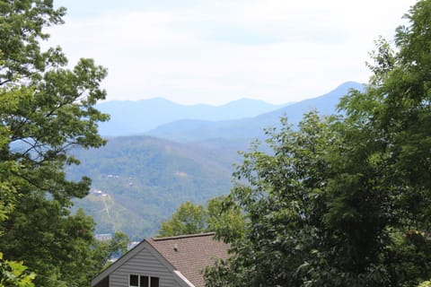 View of Mt. LaConte from main deck.