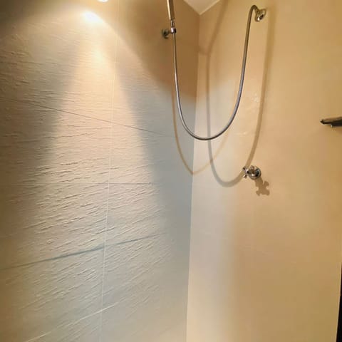 Basic Apartment | Bathroom shower