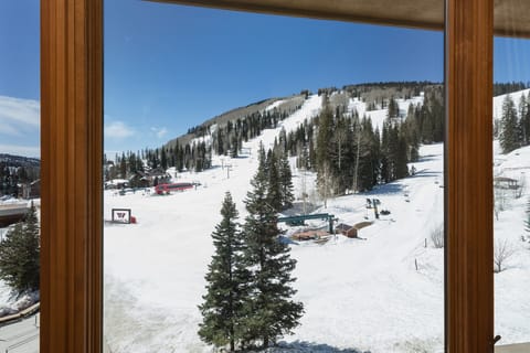 View of the Main 6 Pack Lift