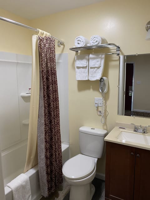 Single Queen Non Smoking | Bathroom | Free toiletries, hair dryer, towels, soap