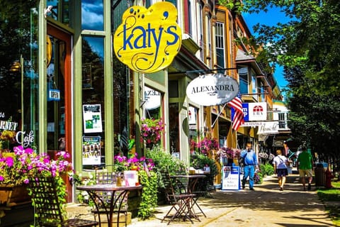 Ellicottville Village