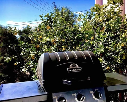 BBQ GAS…patio…lemon tree