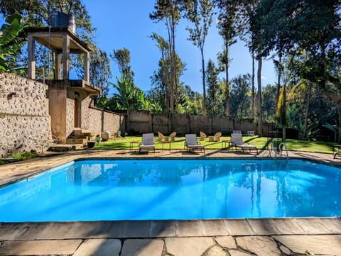 Outdoor pool, sun loungers