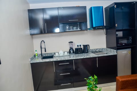 Luxury Studio Suite | Private kitchen | Mini-fridge, microwave, dishwasher, toaster