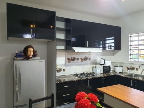 Deluxe Apartment | Private kitchen | Full-size fridge, microwave, toaster, rice cooker