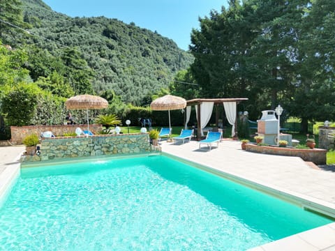Garden, Outdoor, Pool